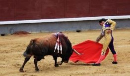 西班牙斗牛在线观看,在线观看斗牛盛宴