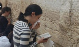 吃瓜娱乐圈小羊