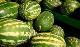 禹城网红吃瓜事件,揭秘网络舆论的风暴与真相